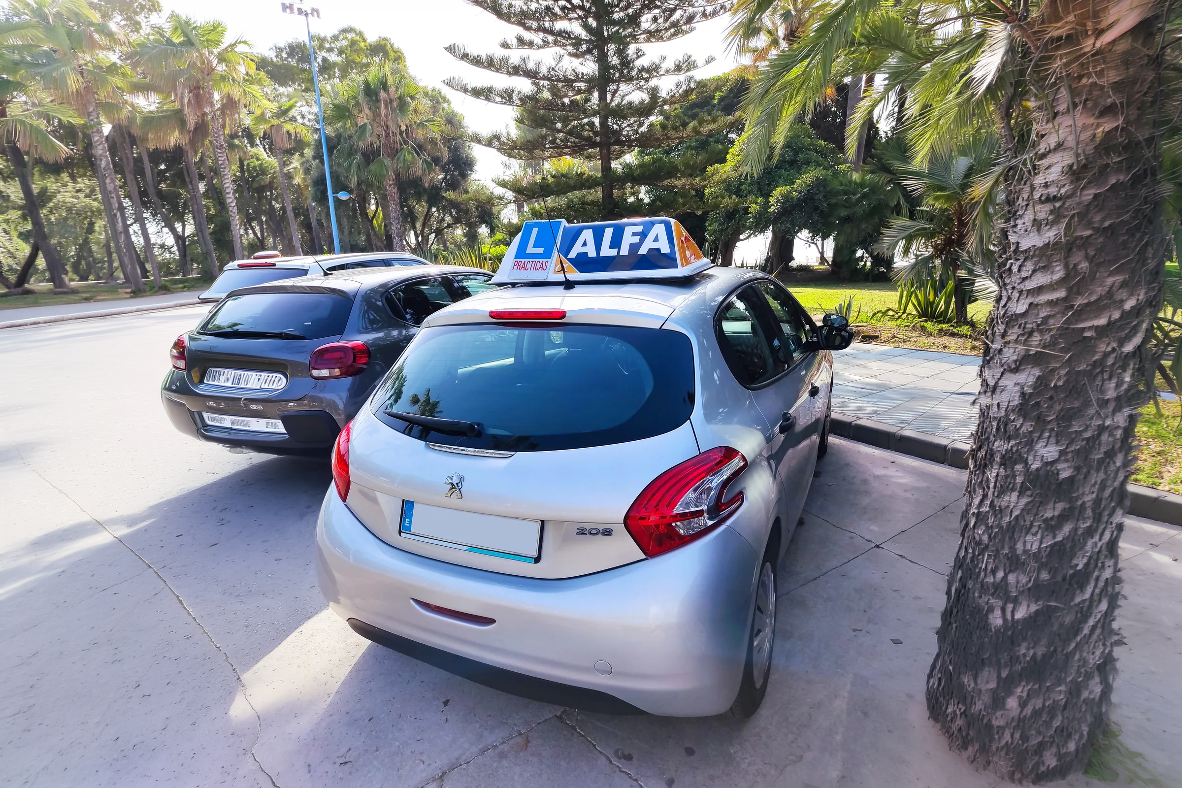 Vehículo de prácticas Autoescuela Alfa